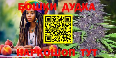 индика Будённовск