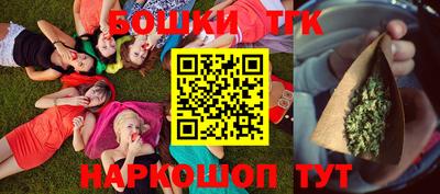 индика Будённовск